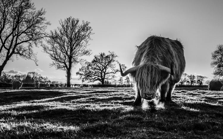 frank-busch-UnVR5s03YTo-unsplash